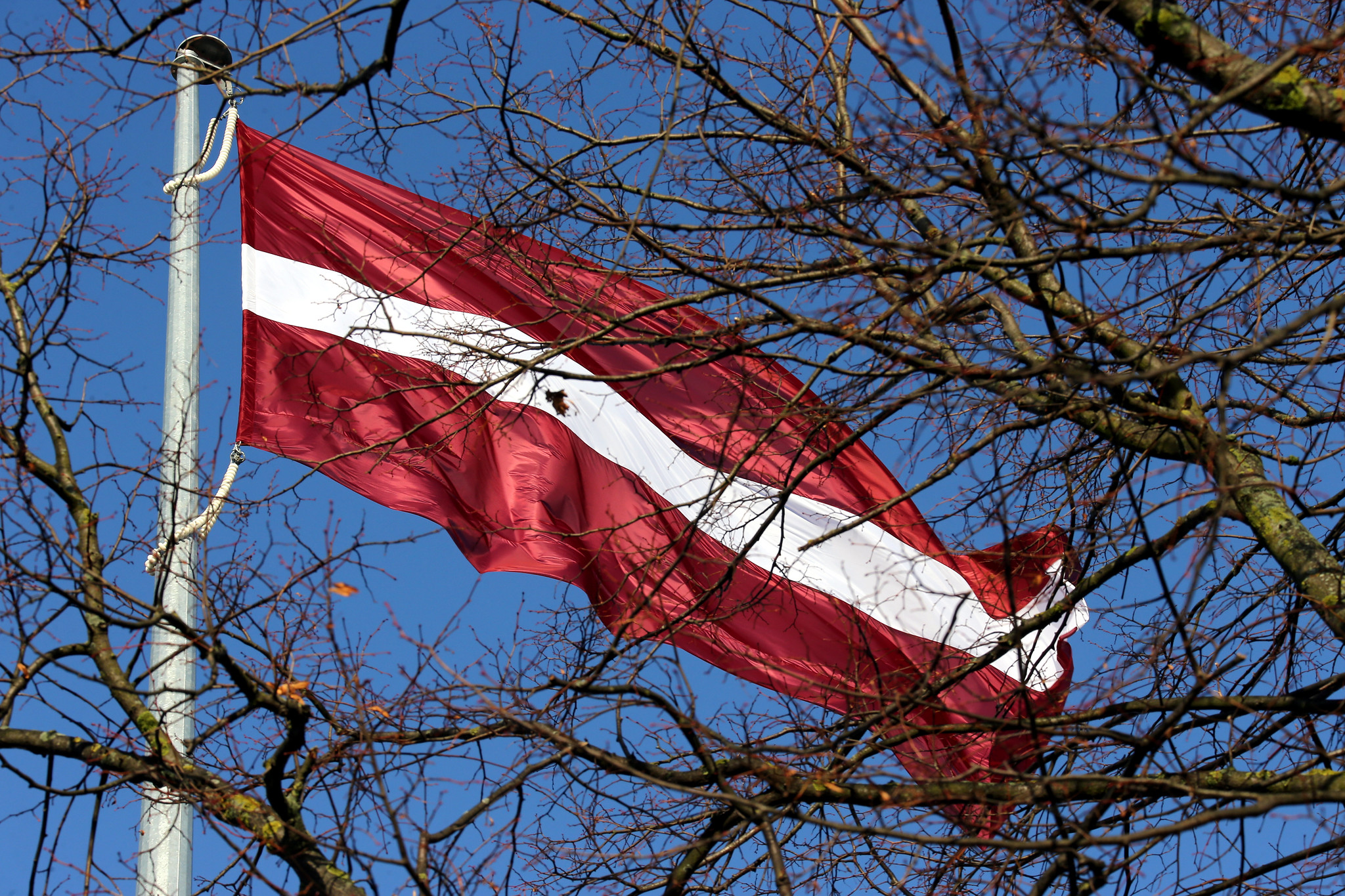 Latvijas karogs